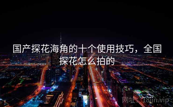 国产探花海角的十个使用技巧,全国探花怎么拍的