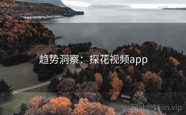 趋势洞察：探花视频app