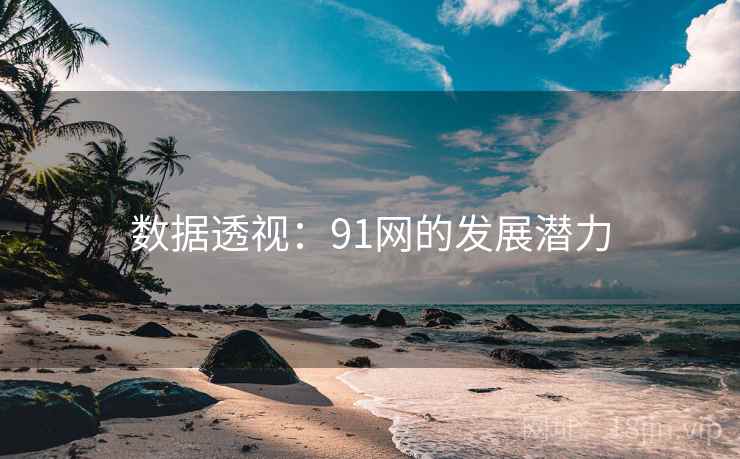 数据透视：91网的发展潜力