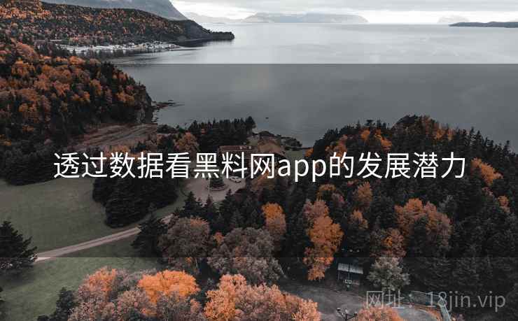 透过数据看黑料网app的发展潜力