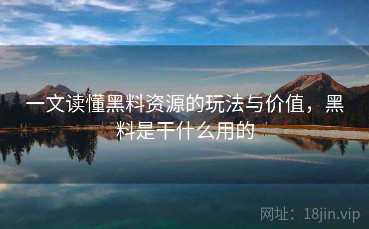 一文读懂黑料资源的玩法与价值,黑料是干什么用的