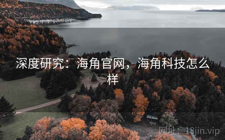 深度研究:海角官网,海角科技怎么样