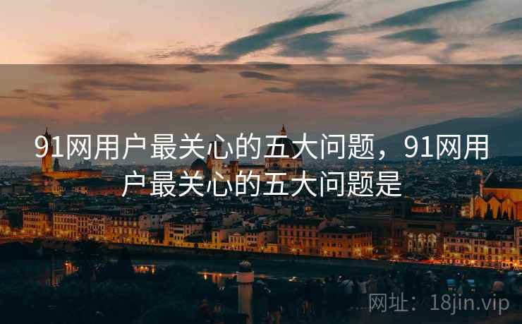 91网用户最关心的五大问题,91网用户最关心的五大问题是