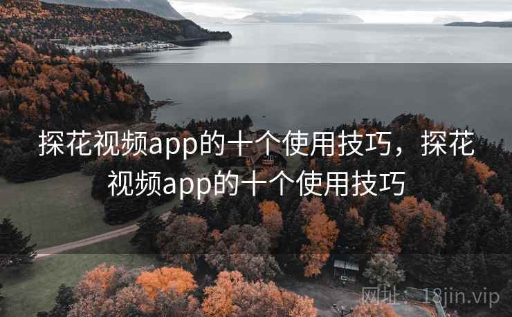 探花视频app的十个使用技巧，探花视频app的十个使用技巧