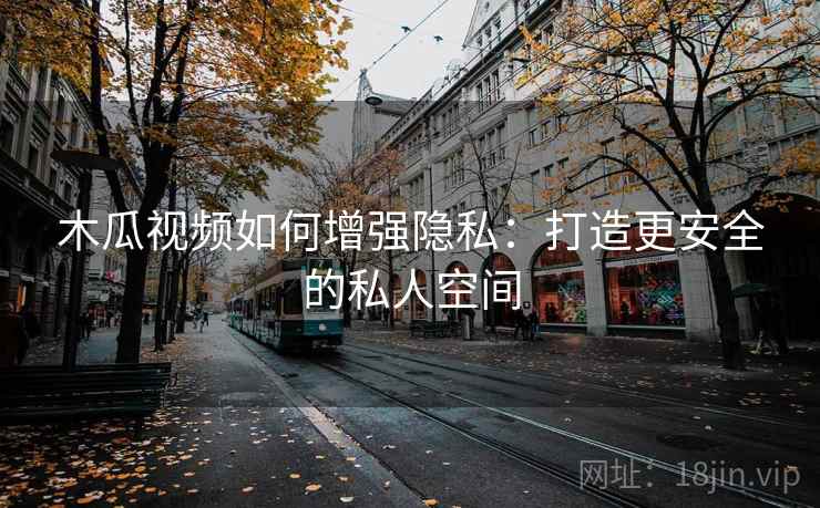 木瓜视频如何增强隐私：打造更安全的私人空间