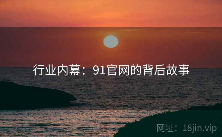 行业内幕:91官网的背后故事