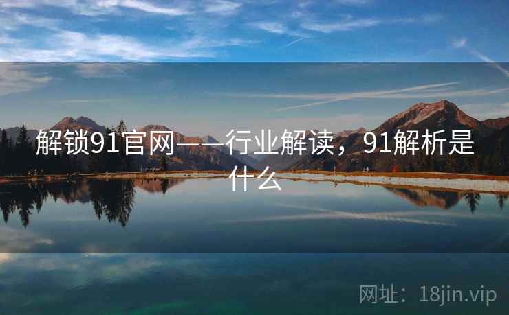 解锁91官网——行业解读,91解析是什么